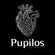 Pupilos Colombia – Inicio
